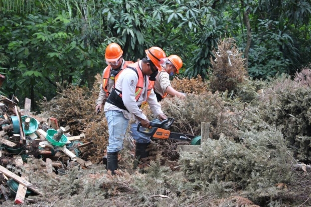 imagen del encabezado