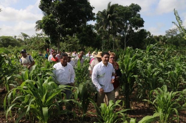 imagen del encabezado