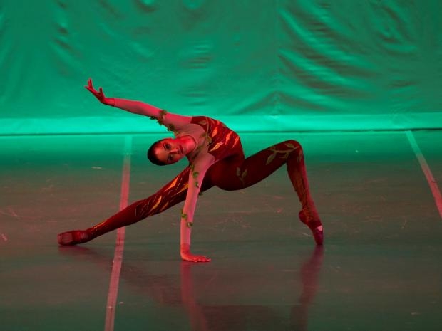 imagen del encabezado