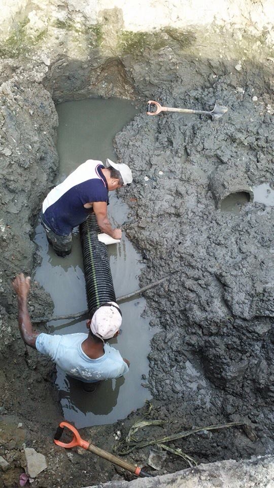 imagen del encabezado