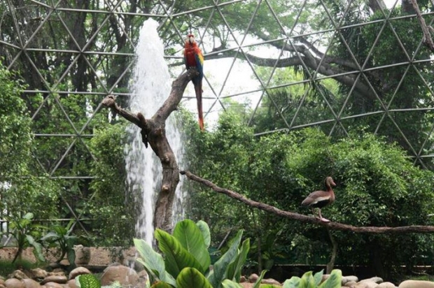 imagen del encabezado