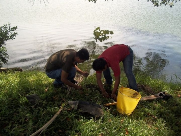 imagen del encabezado