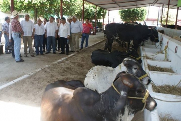 imagen del encabezado