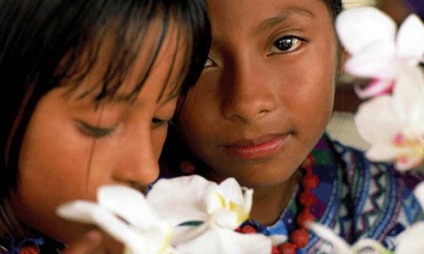 imagen del encabezado