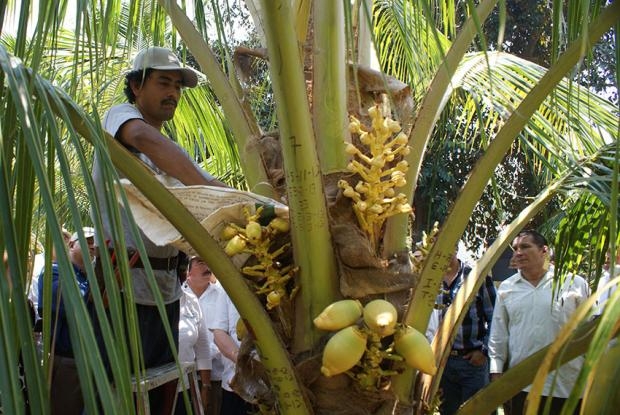 imagen del encabezado