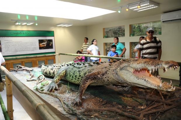 imagen del encabezado