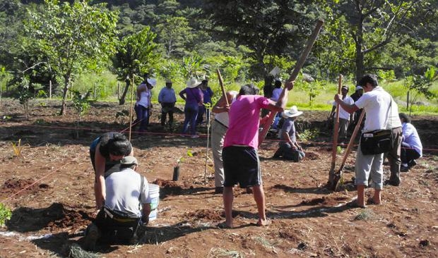 imagen del encabezado
