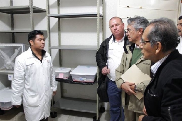 imagen del encabezado