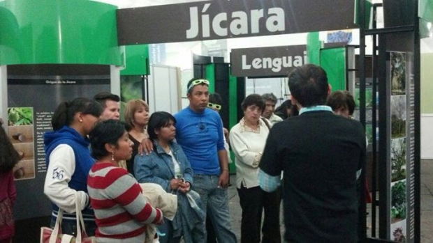 imagen del encabezado