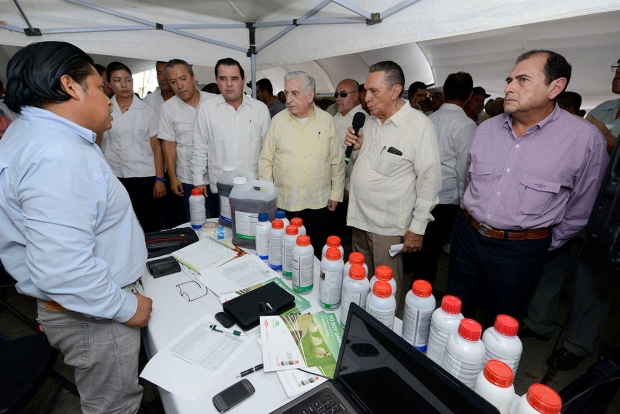 imagen del encabezado