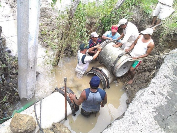 imagen del encabezado