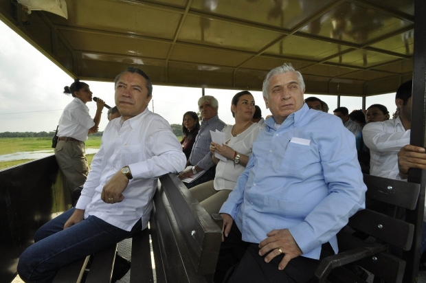 imagen del encabezado