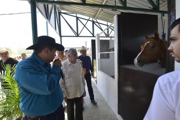 imagen del encabezado