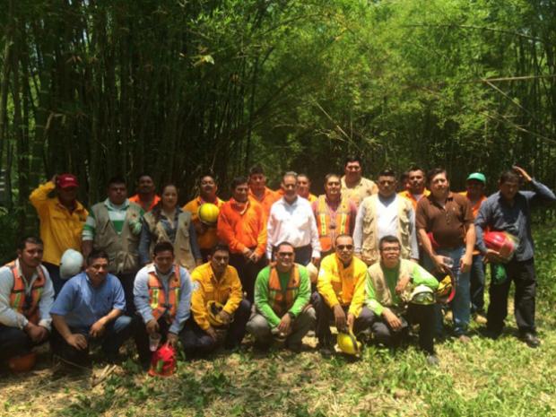 imagen del encabezado