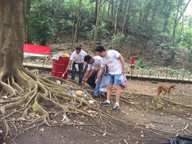 imagen del encabezado