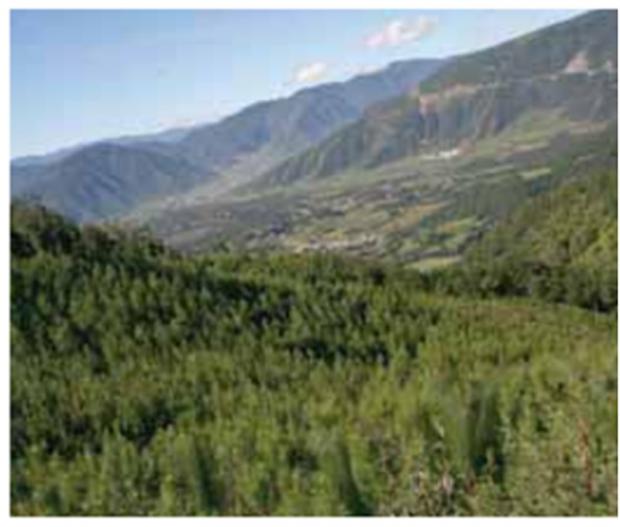 imagen del encabezado