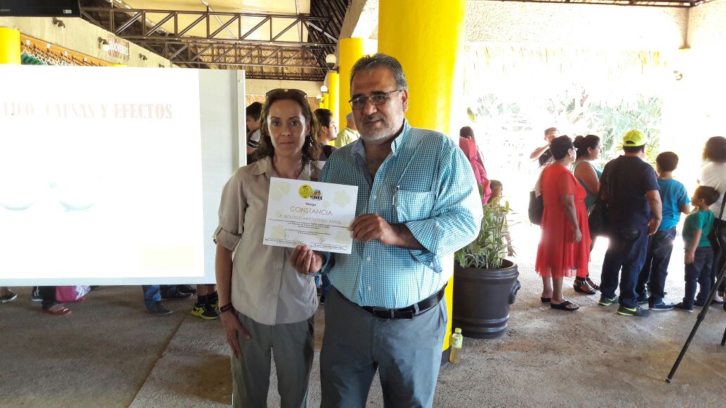 imagen del encabezado