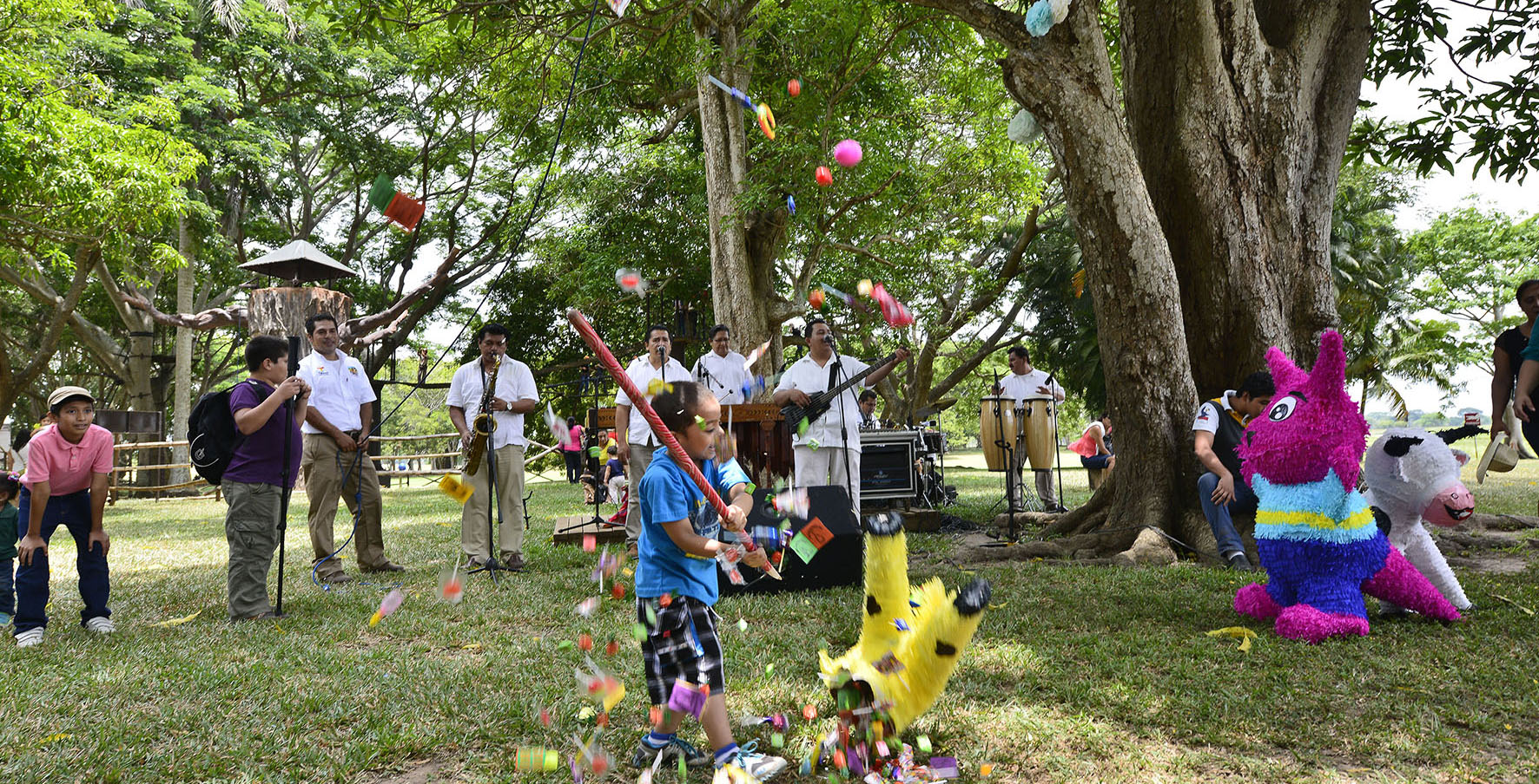 imagen del encabezado