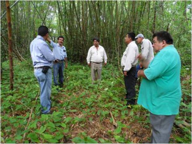 imagen del encabezado