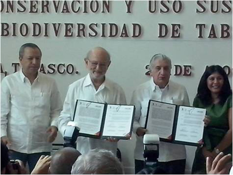 imagen del encabezado