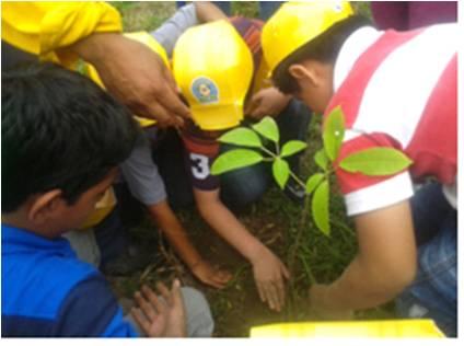 imagen del encabezado