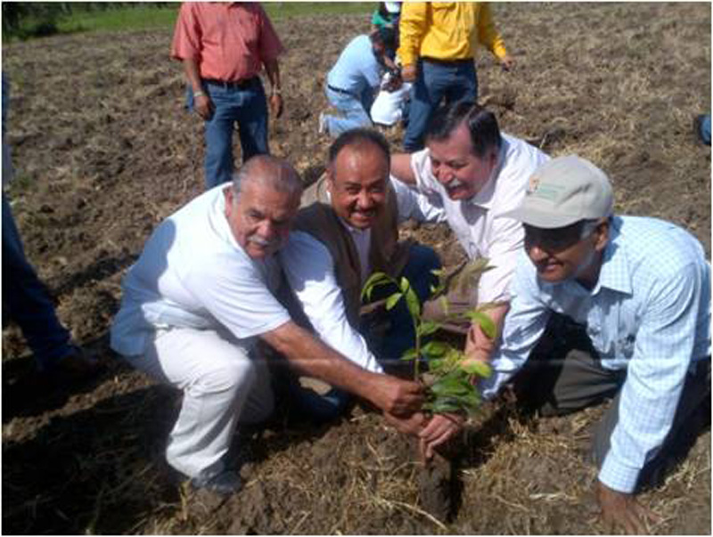 imagen del encabezado