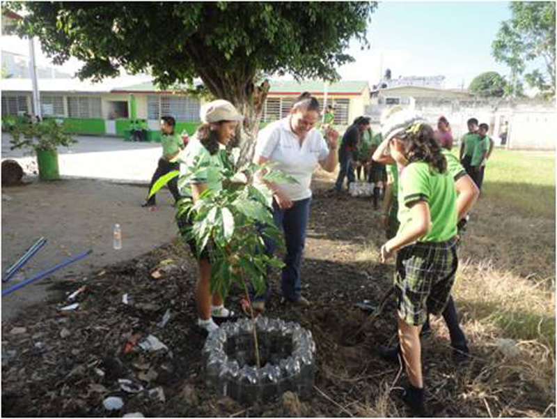 imagen del encabezado