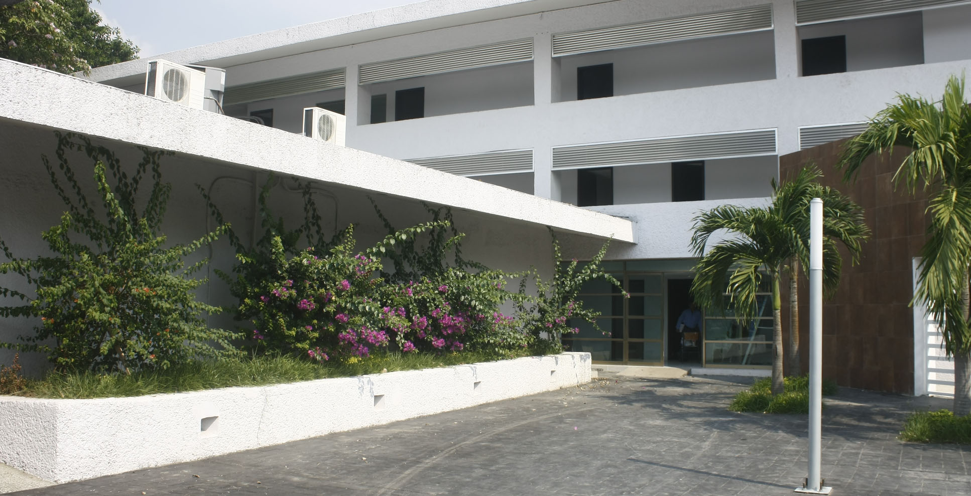 imagen del encabezado