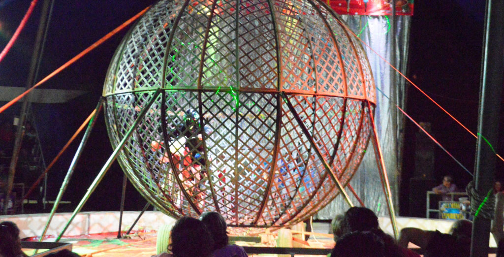 imagen del encabezado