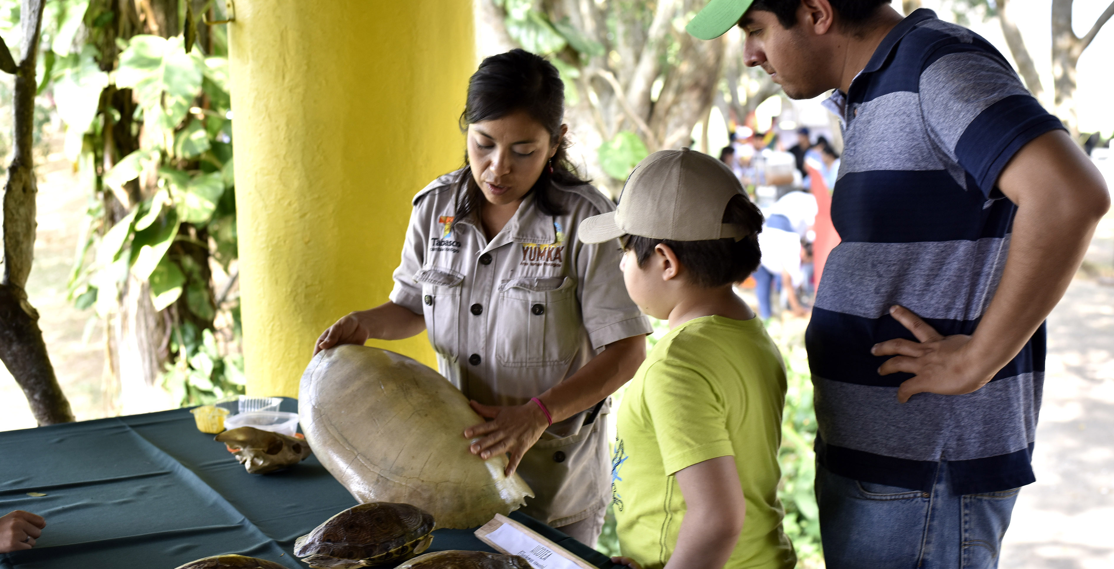 imagen del encabezado