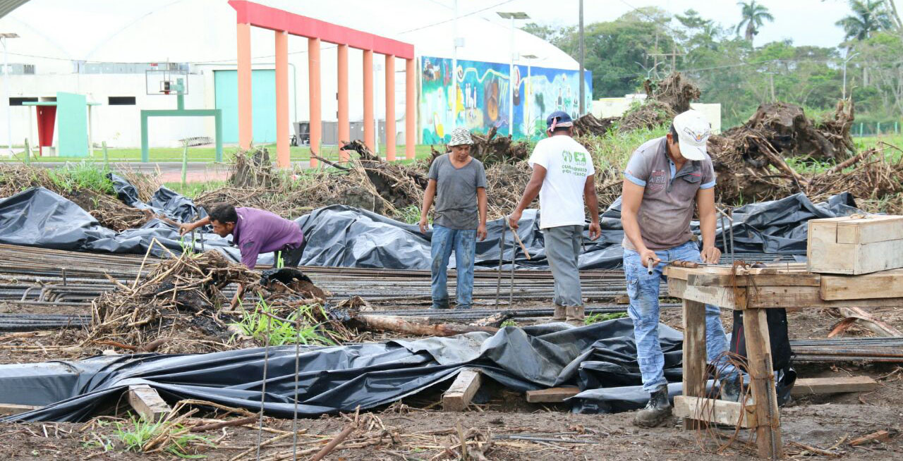imagen del encabezado