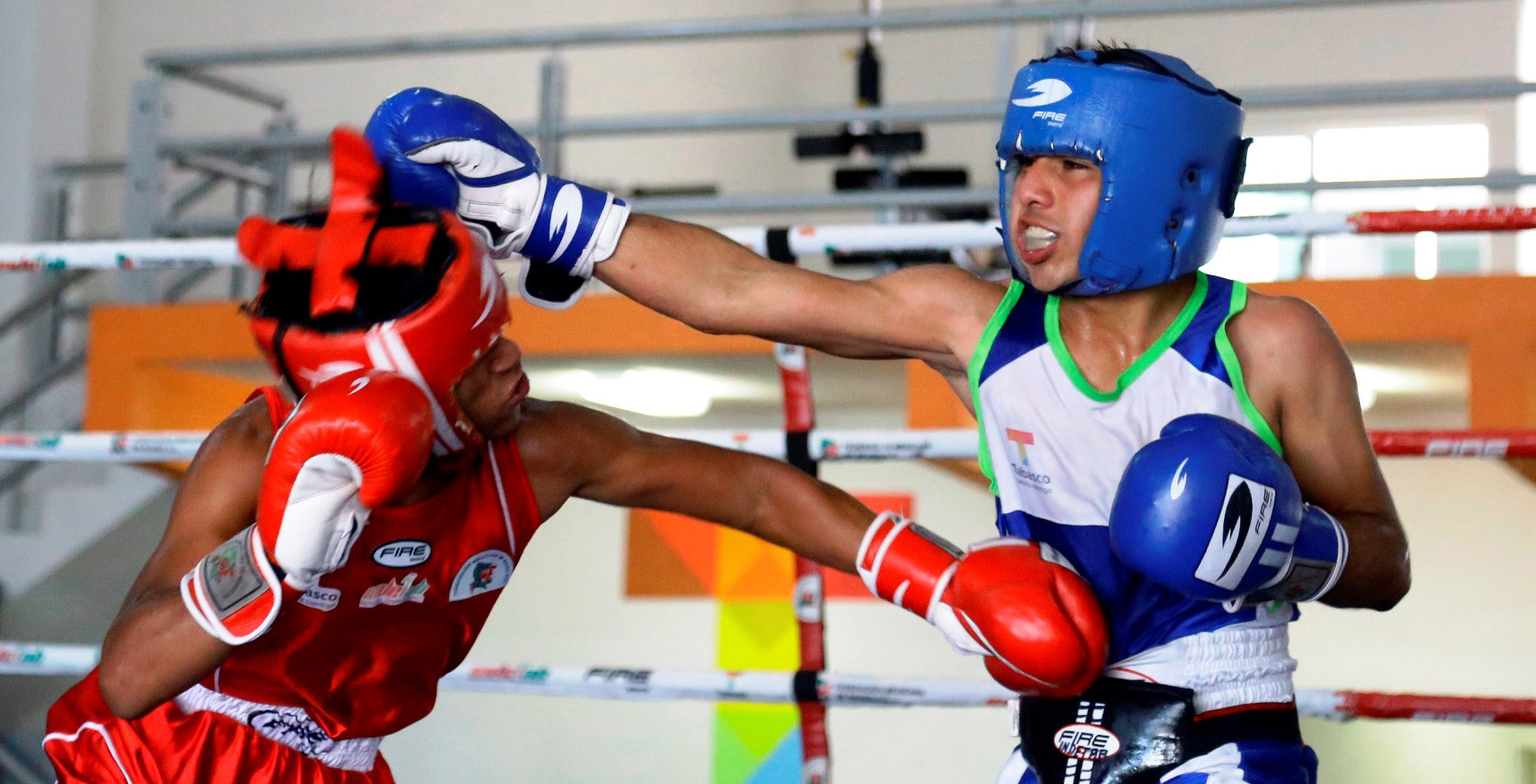 imagen del encabezado