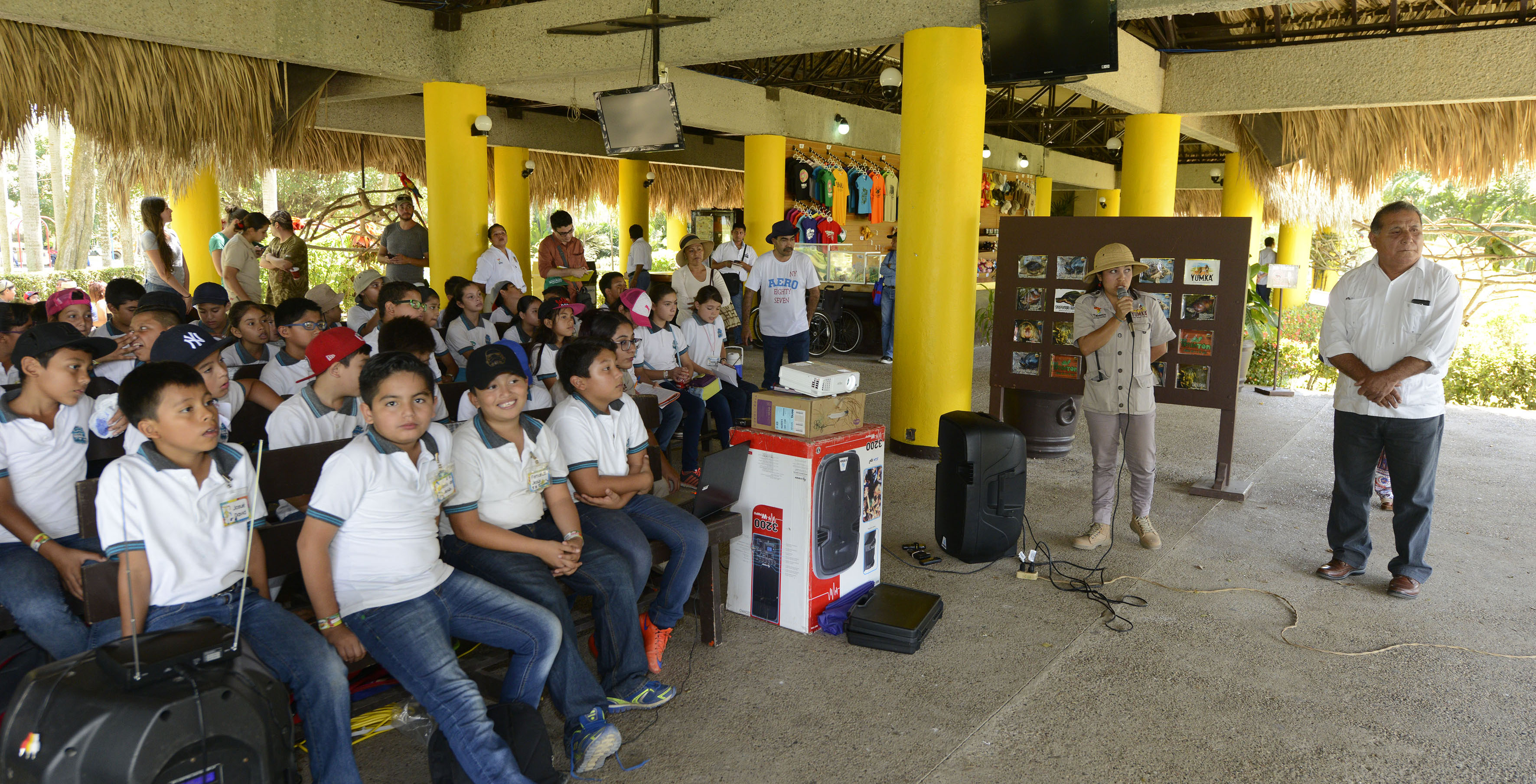 imagen del encabezado