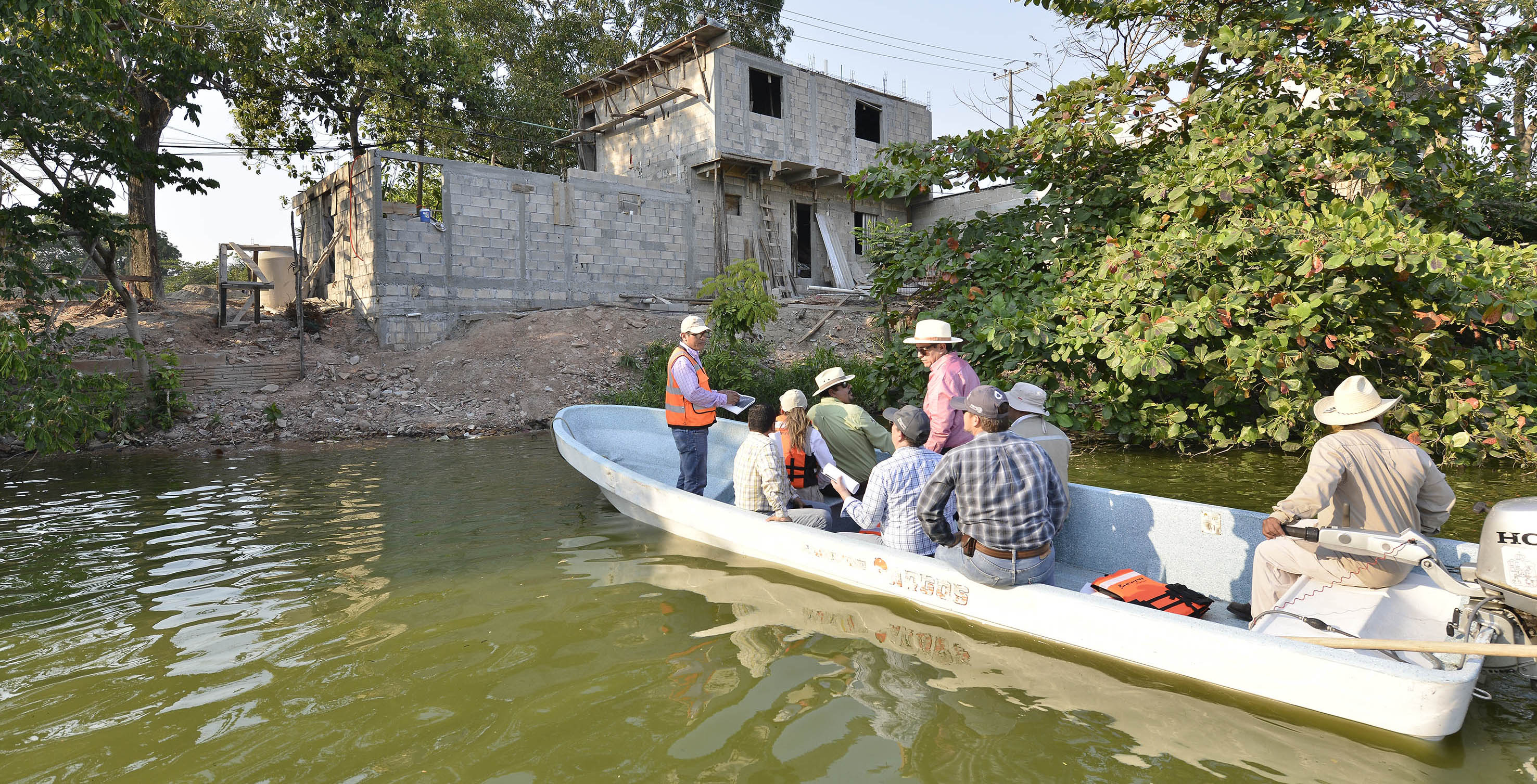imagen del encabezado