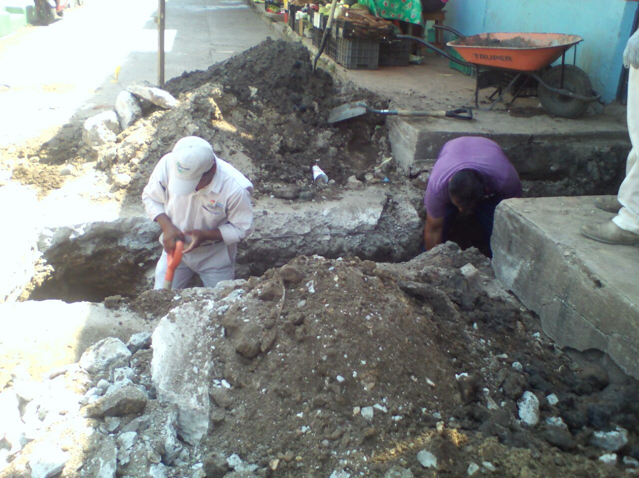 imagen del encabezado