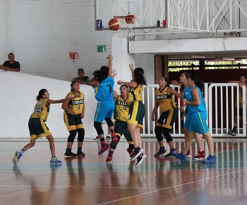 imagen del encabezado