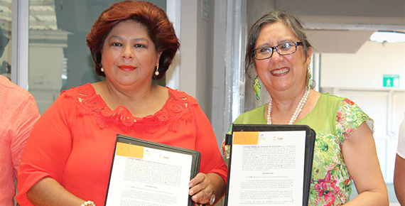 imagen del encabezado