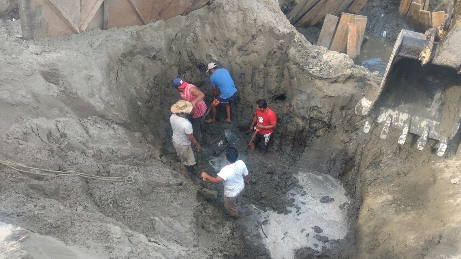 imagen del encabezado