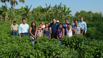 imagen del encabezado