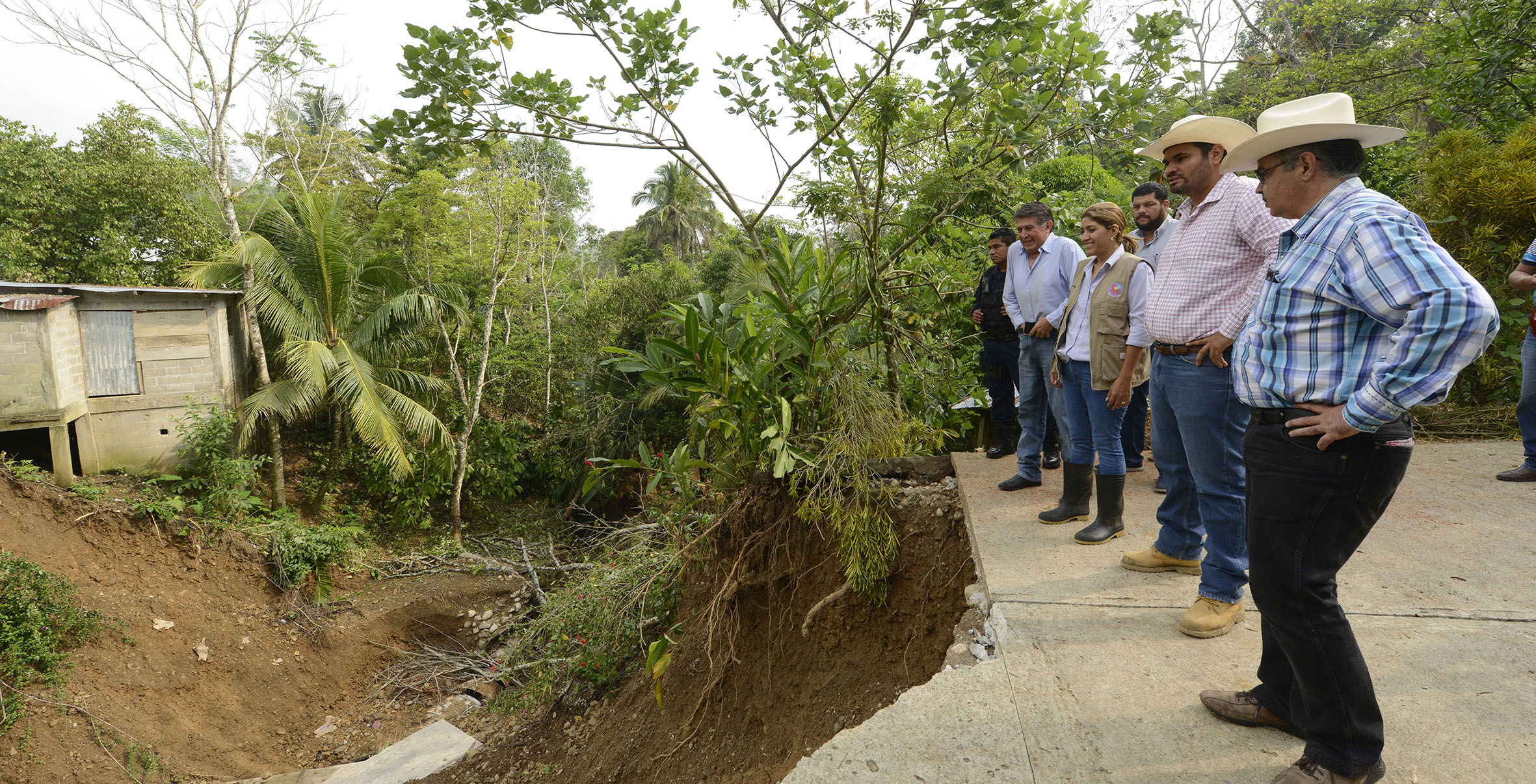 imagen del encabezado