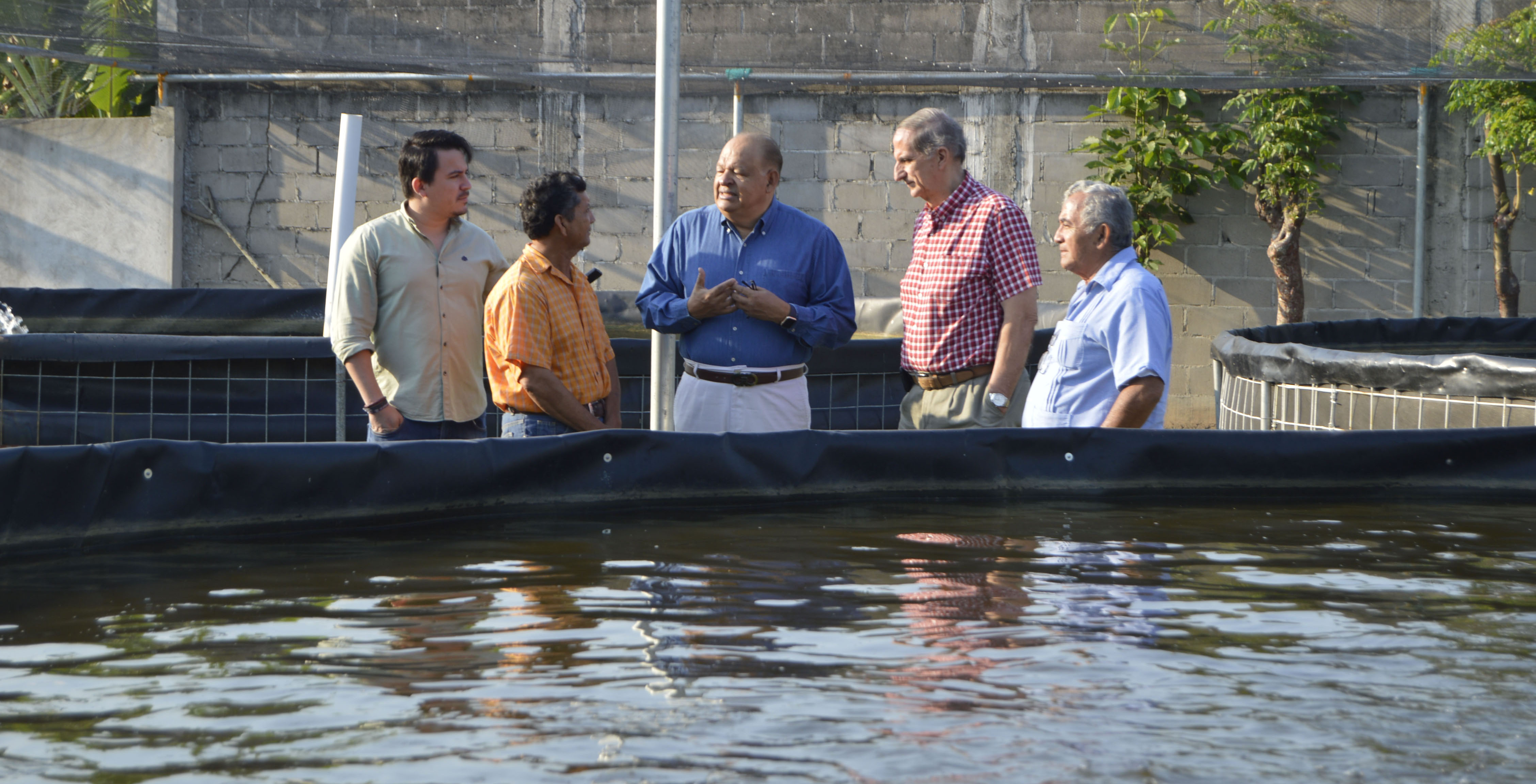 imagen del encabezado