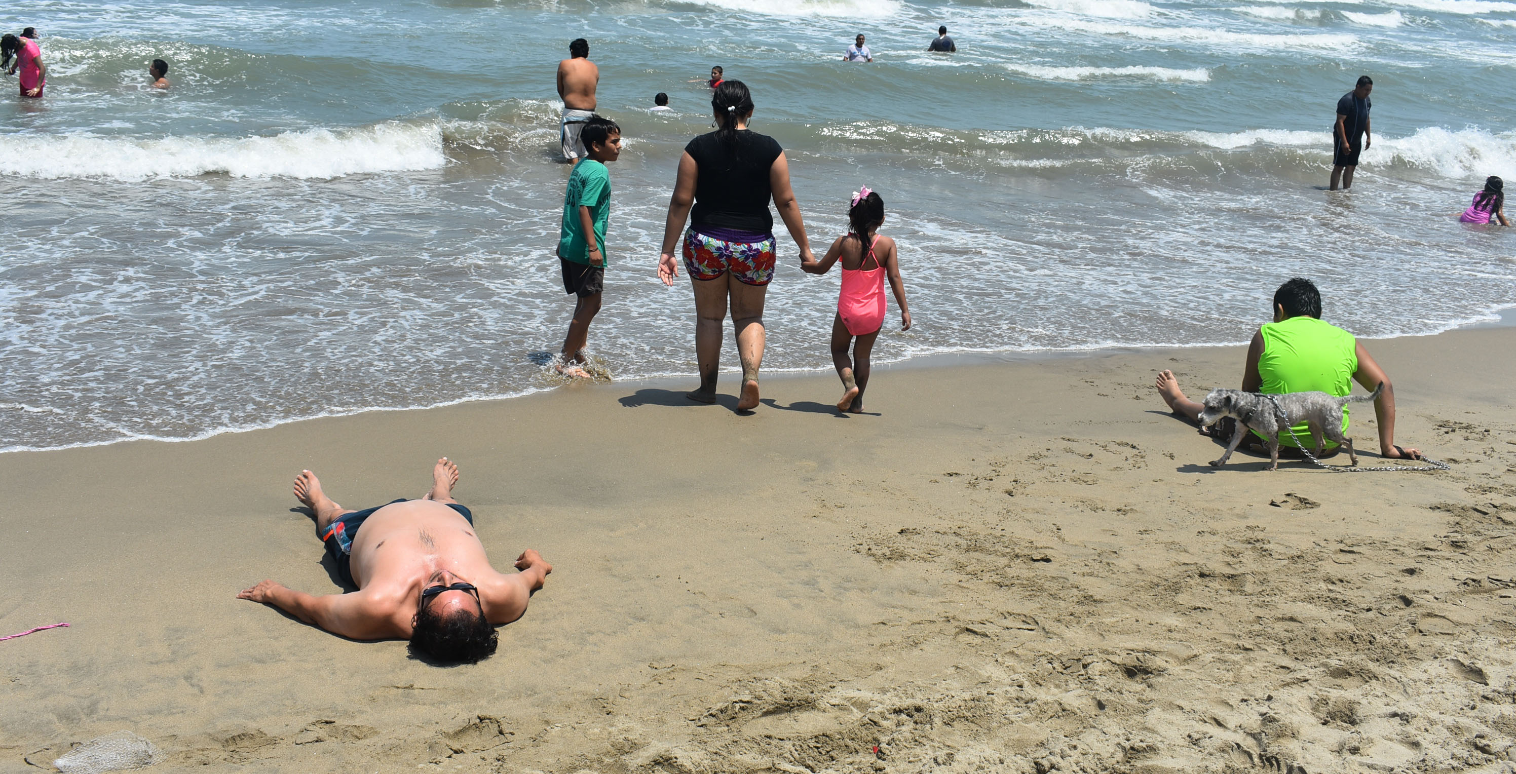 imagen del encabezado