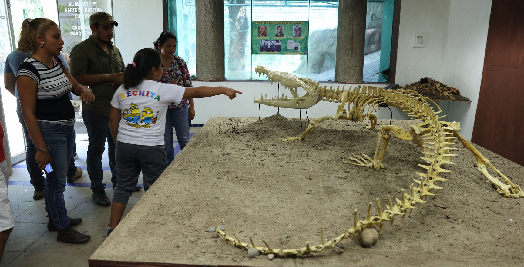 imagen del encabezado