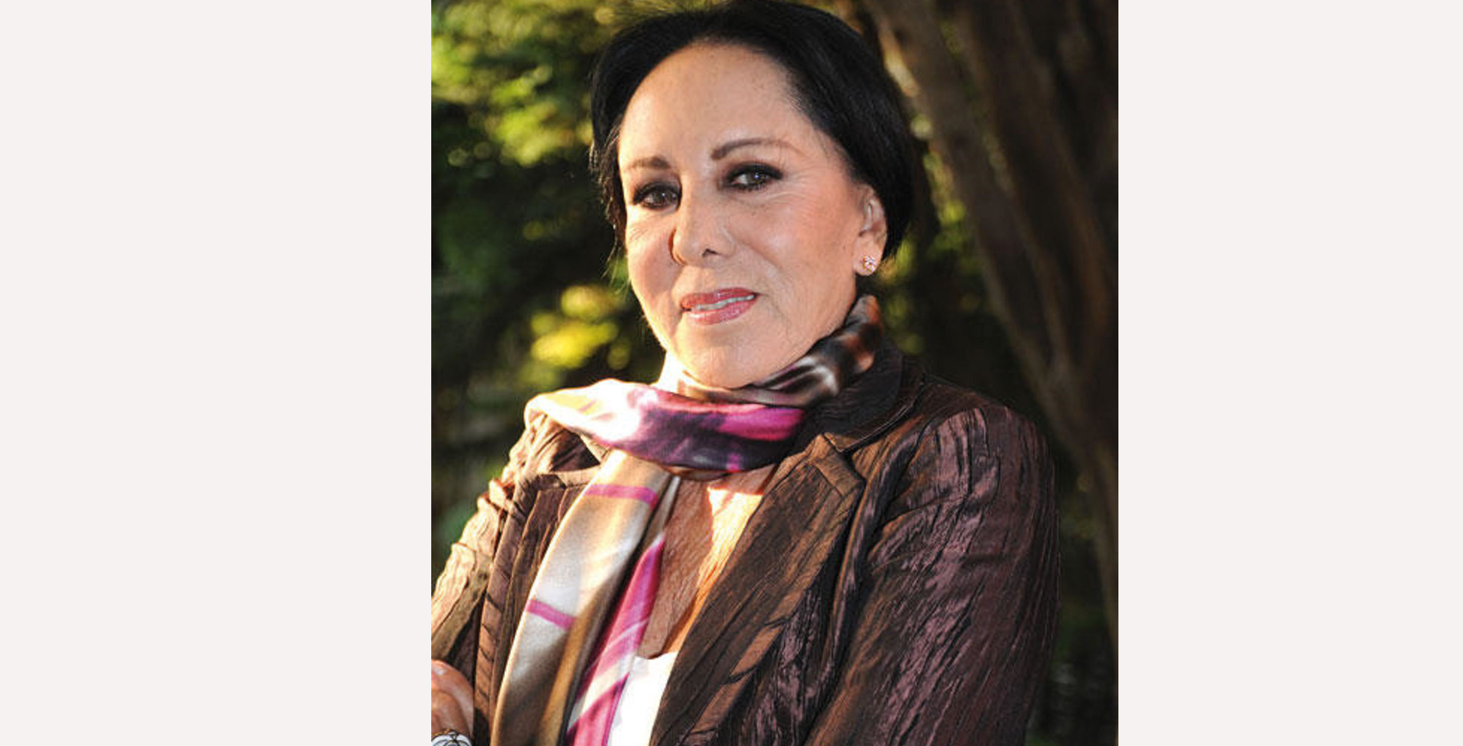 imagen del encabezado