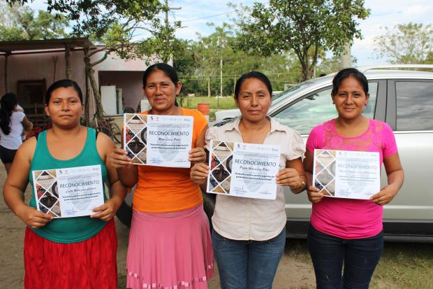 imagen del encabezado