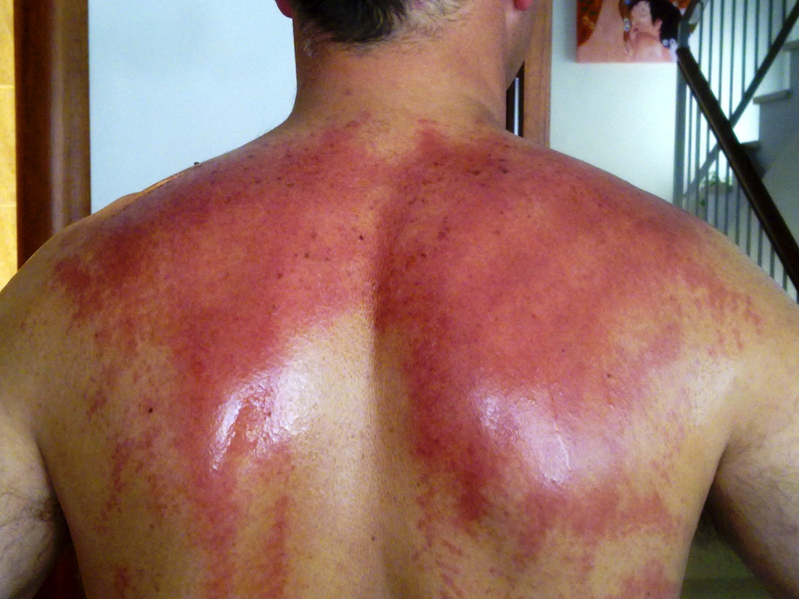 imagen del encabezado