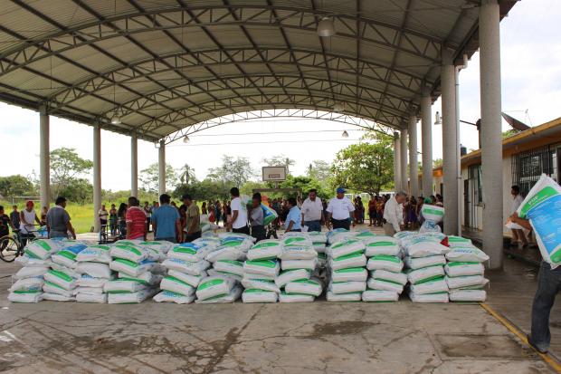 imagen del encabezado