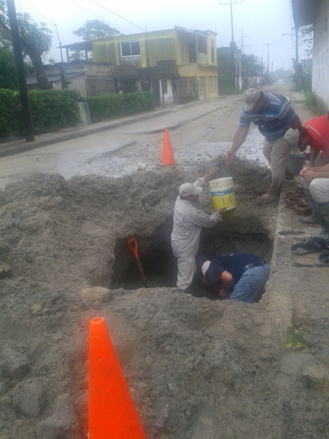 imagen del encabezado