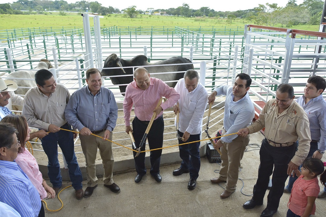 imagen del encabezado