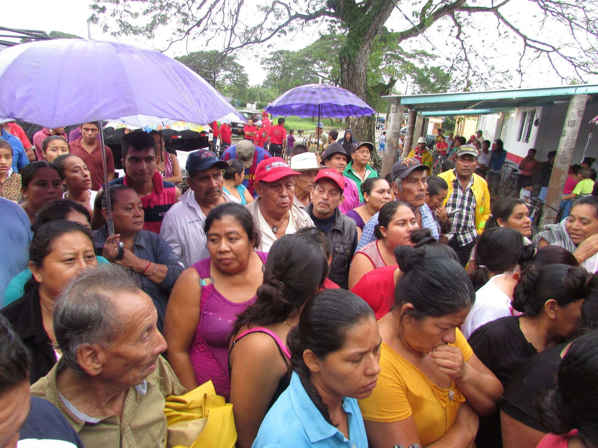 imagen del encabezado